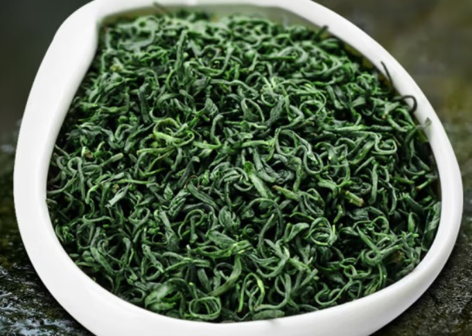 黔茶之澗-云上綠茶